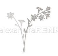 Die - Calyx flowers