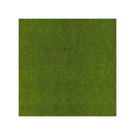 Papier cardstock - Vert de Noël