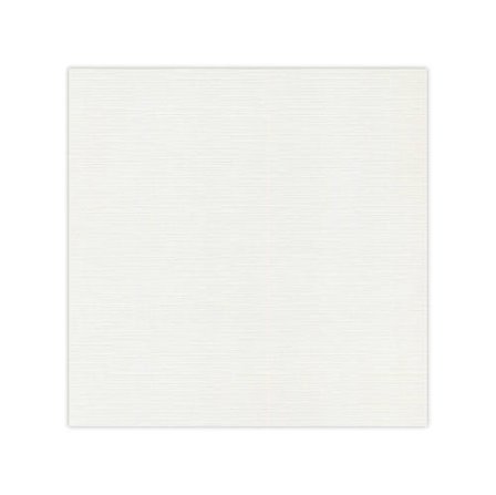Papier cardstock - Gris clair