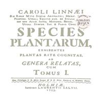 Pochoir - Herbarium - Botanical