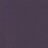 Papier cardstock - Dark purple