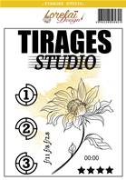 Tampon - Star - Tirages Studio